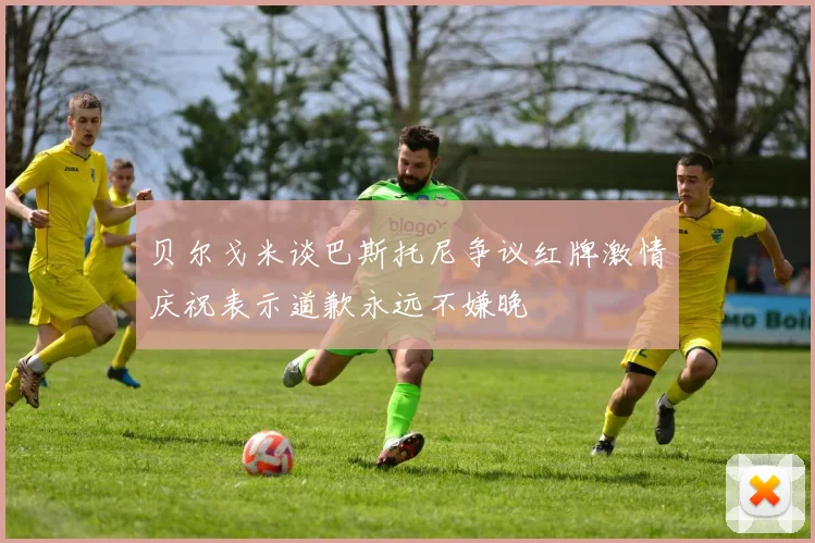 贝尔戈米谈巴斯托尼争议红牌激情庆祝表示道歉永远不嫌晚