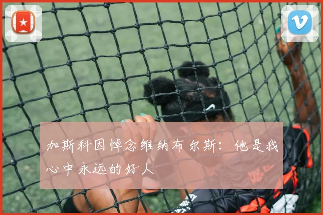 加斯科因悼念维纳布尔斯：他是我心中永远的好人