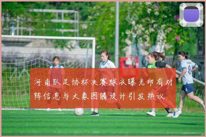 河南队足协杯决赛球衣曝光印有对阵信息与大象图腾设计引发热议