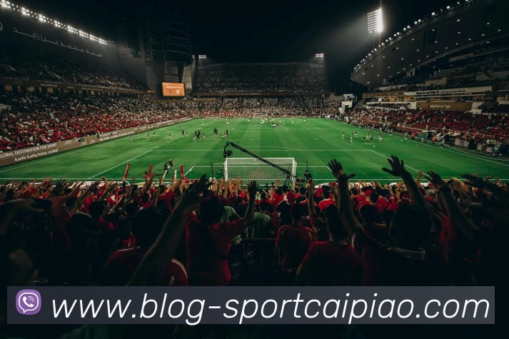 NBA国际球员分布图揭示全球篮球人才杨瀚森恩比德与欧洲明星齐聚一堂